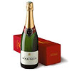 champagne